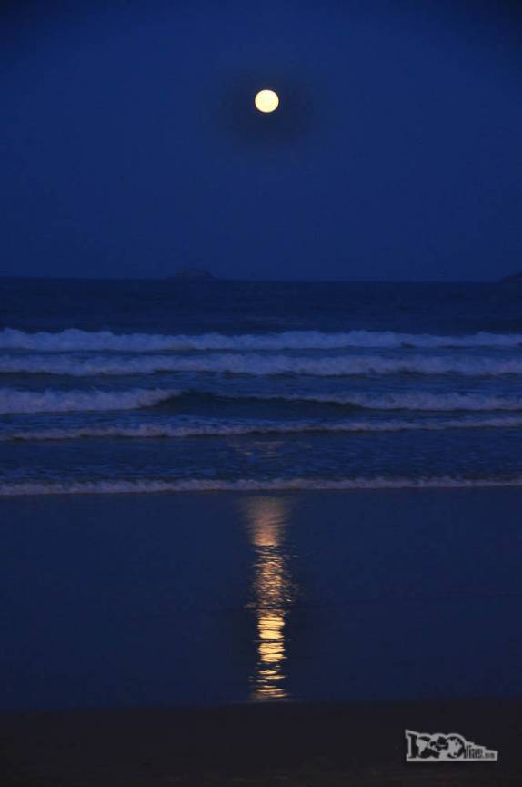 A lua cheia nasce na praia dos Ingleses, no norte de Florianópolis, Santa Catarina